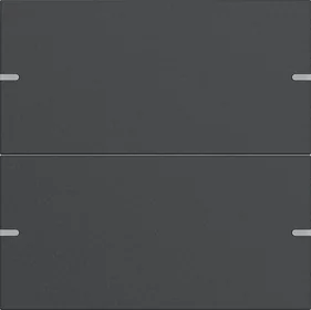 Bộ mặt phím Gira 4.95 2 phím — Nhôm anthracite (sơn) (5022 928)