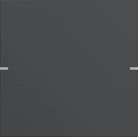 Bộ mặt phím Gira 4.95 1 phím — Nhôm anthracite (sơn) (5021 928)
